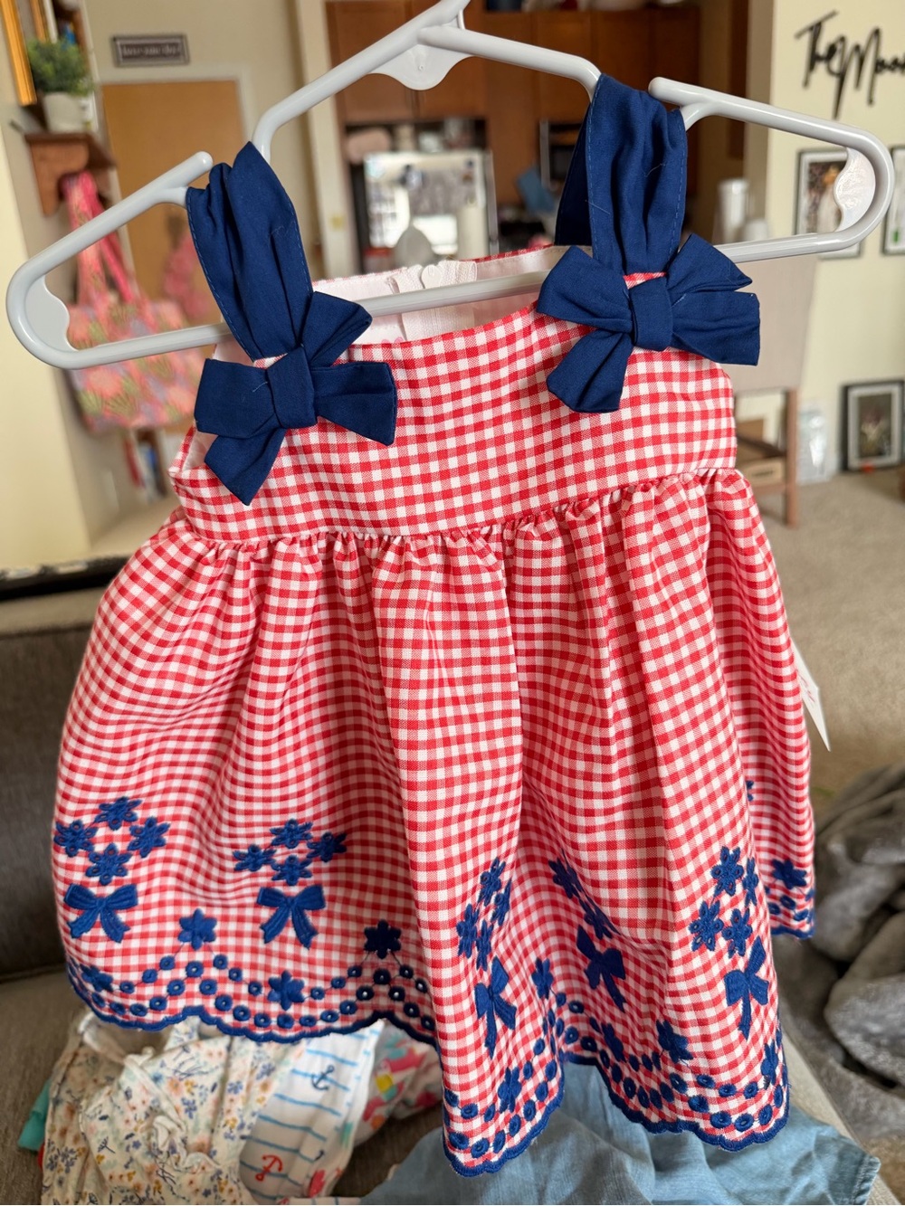 Bonnie Baby Red and White Gingham Dress with Navy Floral Embroidery
